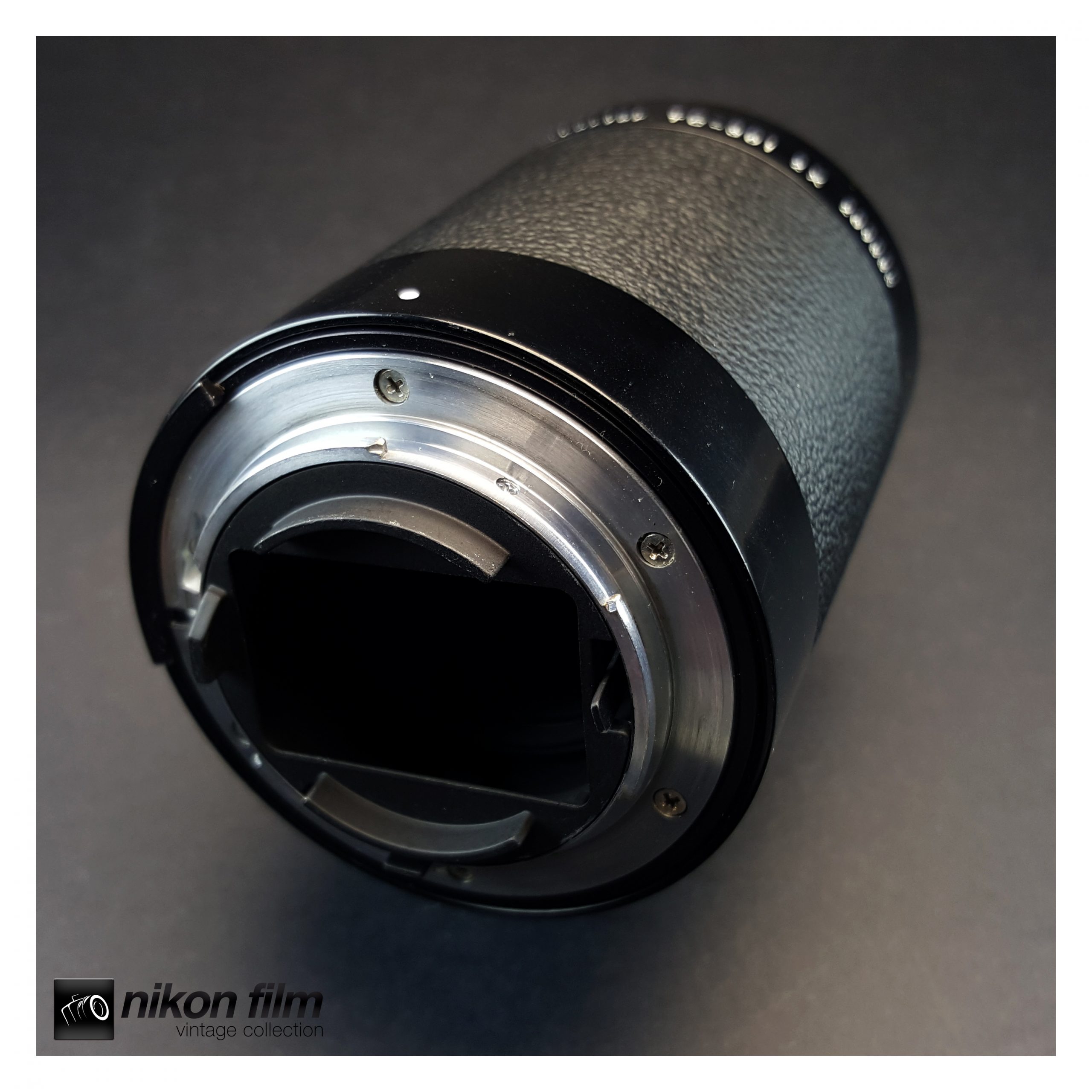 Nikon Teleconverter TC-301 (2x)