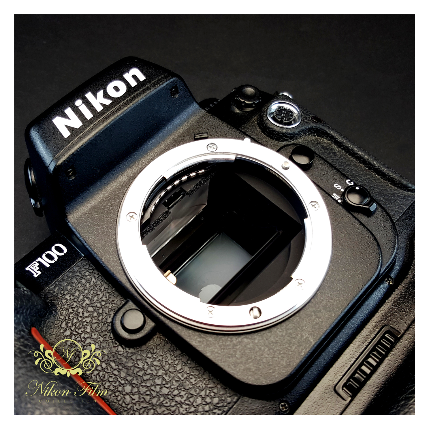 Nikon F100 + Nikon MB-15 - Near Mint