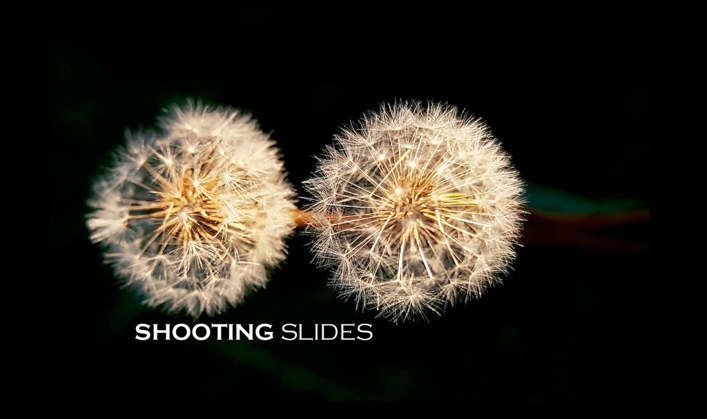 Slides-Nikon-Film-Slides-main