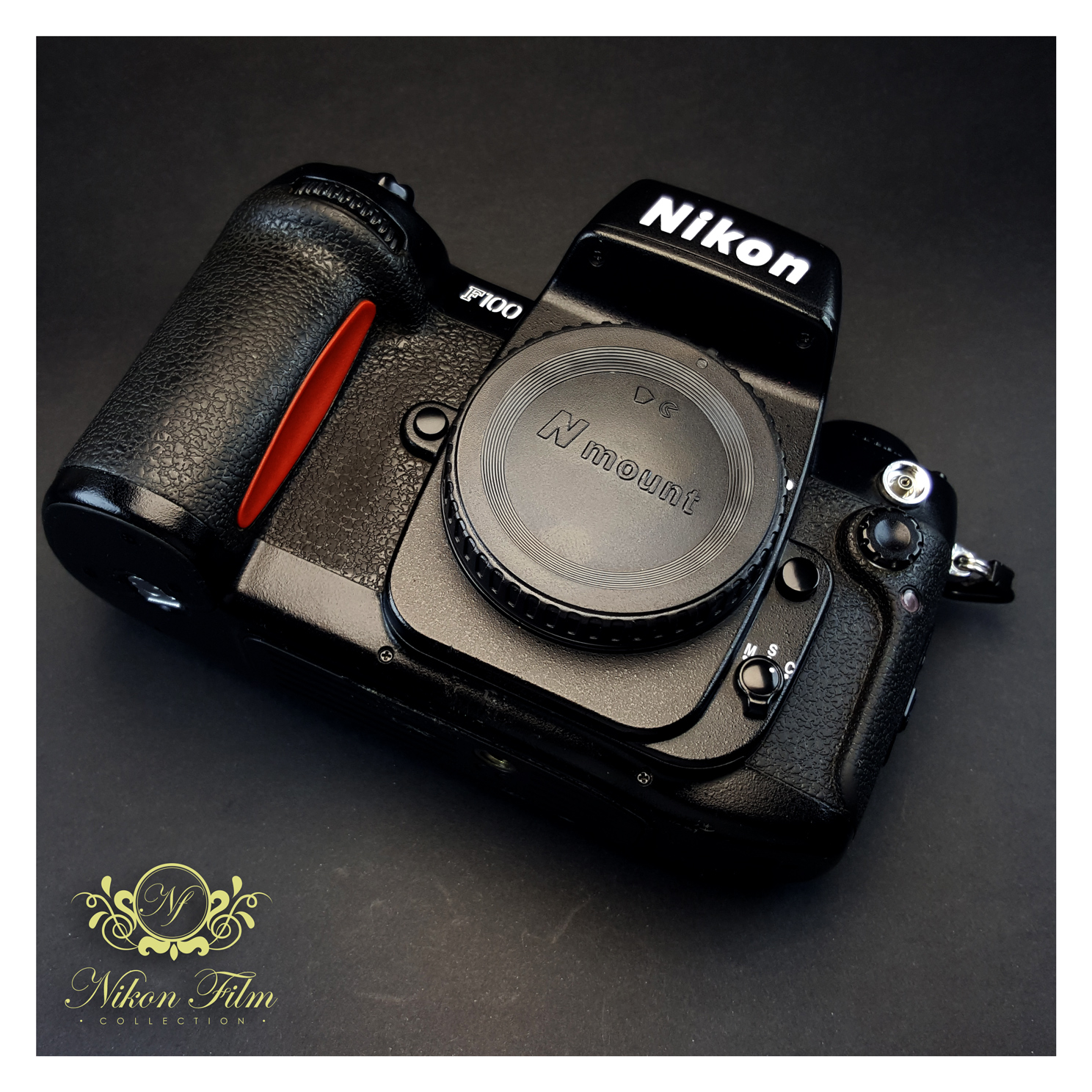 Nikon F100 - NIKON-FILM